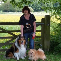 dogcarer's profile picture. Looking for a home to rent in Cornwall