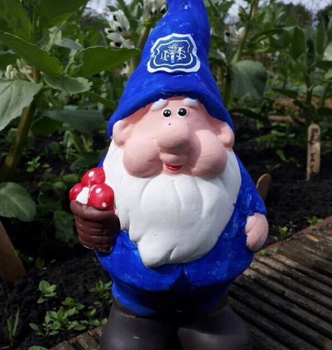 Allotment @mosspitslane Primary School