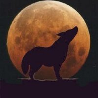 Desde_Coyoacan (@desde_coyoacan) 's Twitter Profile