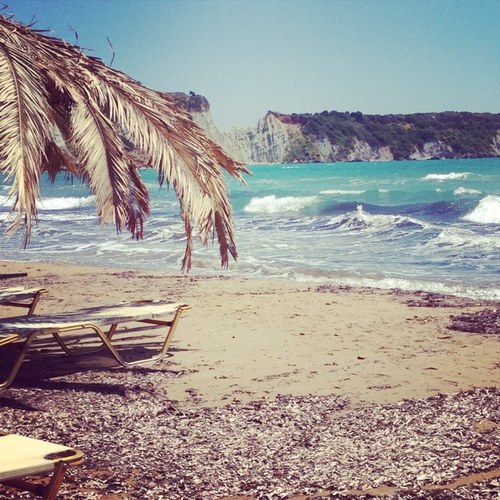 dell2204's profile picture. 