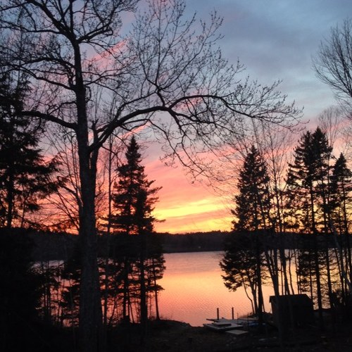 dube_stephanie's profile picture. 