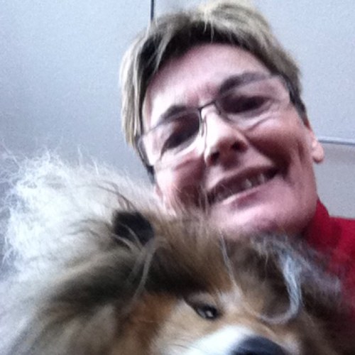 movo55's profile picture. 