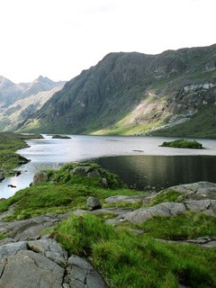 pepsi_megapolis's profile picture. 