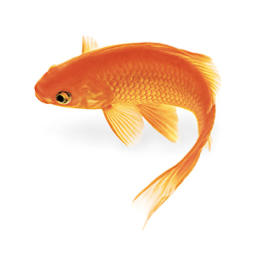 AddisonSimplify's profile picture. Addison Simplified Communications