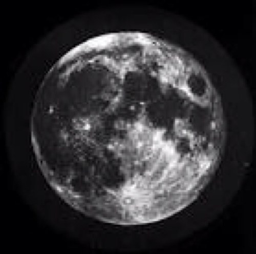 littlethingsss3's profile picture. We all are •dreamers•