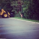 Joanna Walsh - @jocumiskey - Twitter