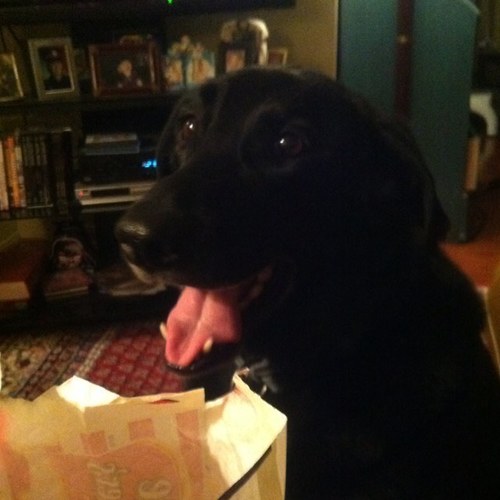 proge68_pam's profile picture. 