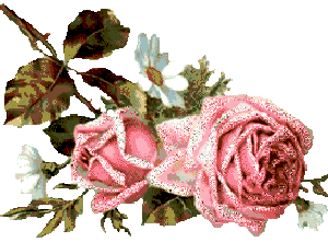 ggaggarott's profile picture. 