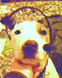 serviceuser24's profile picture. 