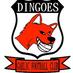 Dingoes Gaelic FC (@dingoesfooty) Twitter profile photo