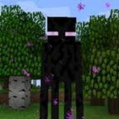 エンダーマン Endermanbot Twitter