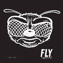 Fly Apparel Carries some of the flyest local independent brands out of the bay area. Located 1585 Clayton Rd #c, concord CA 94520. 925-826-5588