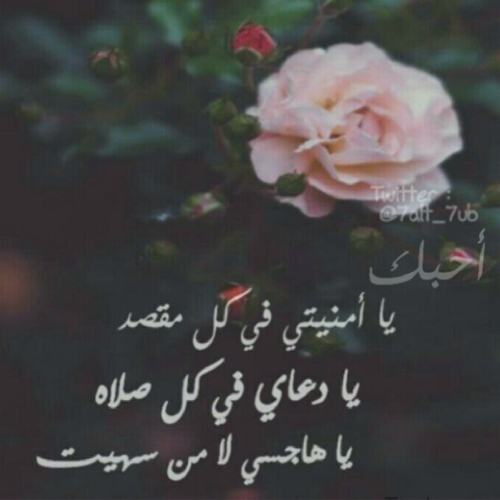 س أُحبكَ حتى يفنى آلحُب ، أو أفنى أنآ ♡♡