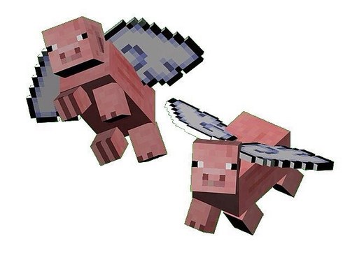 pigscanfly55's profile picture. 