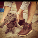 Nohelia -..- (@06_nohelia) Twitter