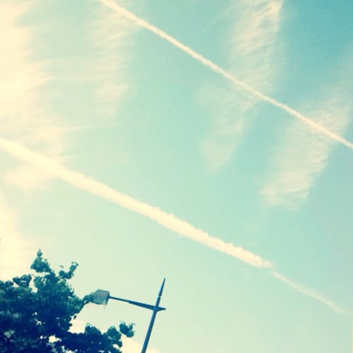 RovO_ha's profile picture. こっちつかってません。