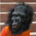 nrc (@nick_r_cameron) Twitter profile photo nrc (@nick_r_cameron) Twitter profile photo