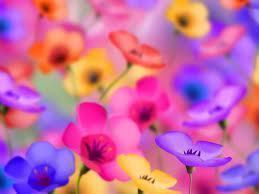 Nature Lover, Energy Healer, Spiritual Being. Seeking Wellness, Happiness  & Peace.