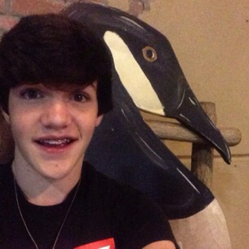 #followback||15
