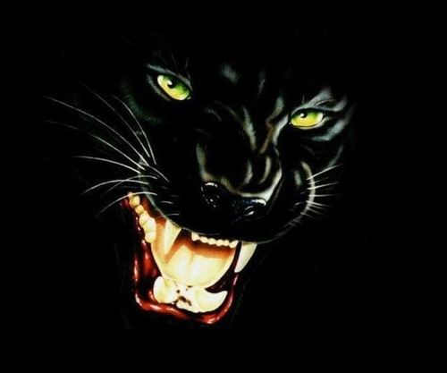 b1tbOmb3r's profile picture. 