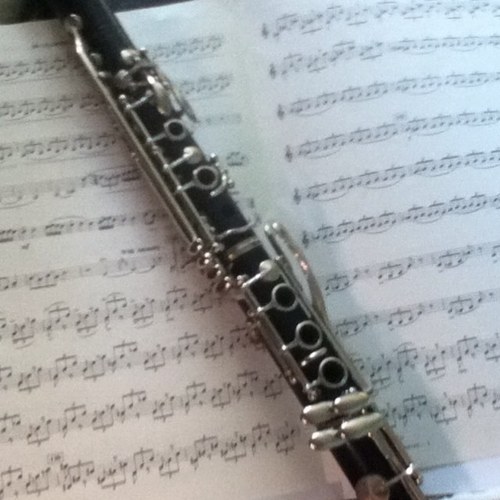 Sophmore Clarinetist! Joining marching band was the best choice I ever made :)