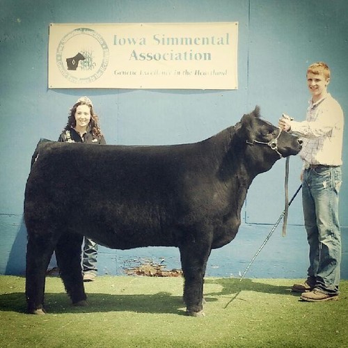 tightend881's profile picture. I show cattle and play football and wrestle enough said