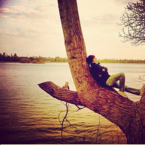 It's like a jungle sometimes, It makes me wonder how I keep from goin' under... http://t.co/bRr3Hq5xa9