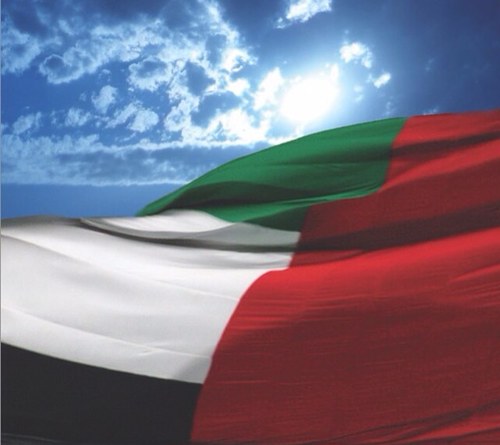 رؤيتي: إرساء السلام في عقل الإنسان My Vision: Establish Peace in Human's Minds