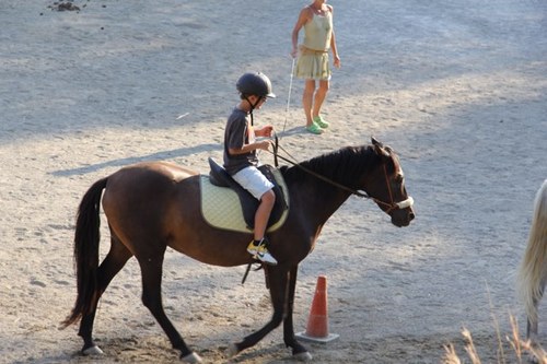Me gustan mucho los caballos,no hay otra cosa que pueda decir de ellos. I love horse in the world :D