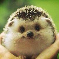 tchriste (@tchriste52) 's Twitter Profile Photo tchriste (@tchriste52) 's Twitter Profile Photo