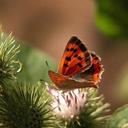  Ruth Hanna - @RuthHanna02 - Twitter