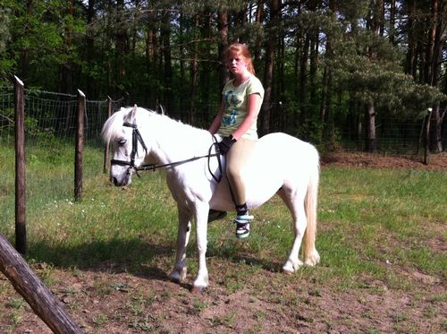 *YMCMB*ponymeisje*11 jr*obs de touladder*kaatsheuvel waspik*ihv tiny thündér viktor*8jr paardrijde*Boer Biek Heeft SWAG?!!*