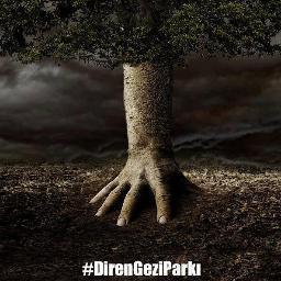 haftasonu34's profile picture. 