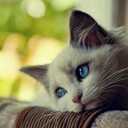 x (@00_duru) Twitter