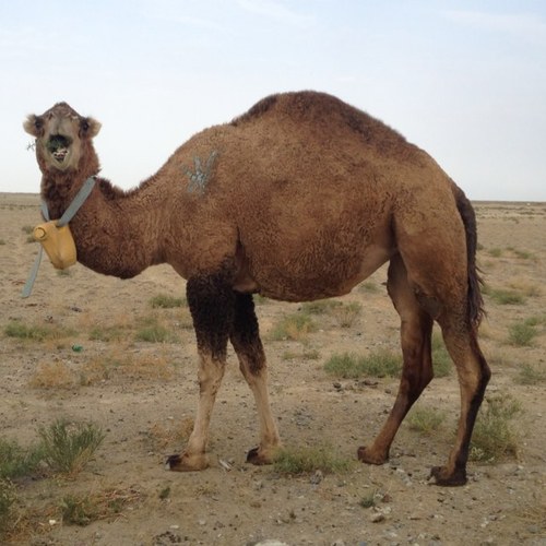 brendanbell1's profile picture. 