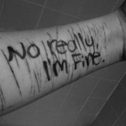 Odio mi cuerpo, odio mi cara, me odio a mí misma. Deseando estar muerta. Mi vida se basa en autolesionarme y en contar calorías. Si no me entiendes, te callas.