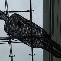 David C (@kdnystn) 's Twitter Profile