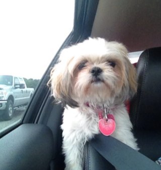 Misstang02's profile picture. Nlseay119@yahoo.com