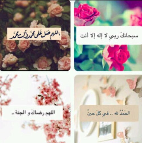 اللهمَ ااجعلنآ ممَن طآب ذكرهَم وحسنت سيرَتهم وآستمَر ااجرهم فيَ حيآتهم وبعَد موتهَم ♡♡*