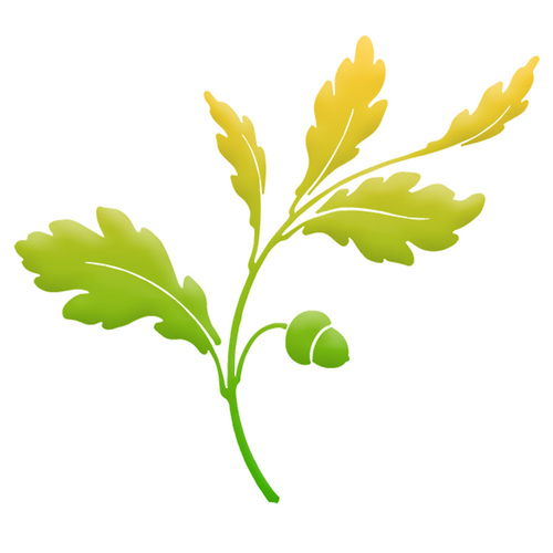 Great Oaks Education is a teacher training provider specialising in delivering CPD for teachers in the creative arts sectors of schools and colleges.