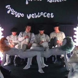 gutipinoal's profile picture. 