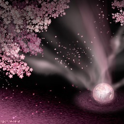 雪歌 Setsuka Sacra Twitter