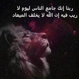 ‏‏‏ اهوى القراءة والكتابة والحكمة وكل ما يخدم النفس الانسانية Poet and love reading and writing and wisdom .