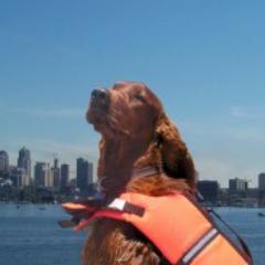 Life in the Heart of Seattle. With a Little Kick.
