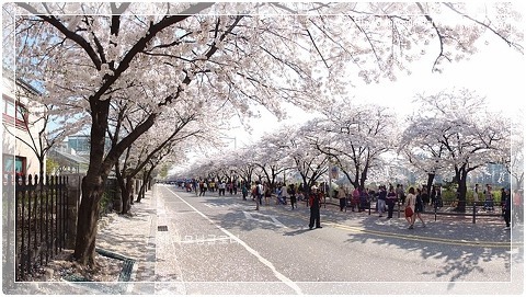 imsomaaad's profile picture. 