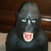 Travis booe (@booegorilla) Twitter profile photo Travis booe (@booegorilla) Twitter profile photo