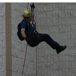 squirrell_911's profile picture. 