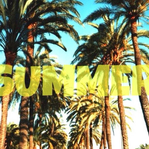 Summer~Fall~Winter~Spring
