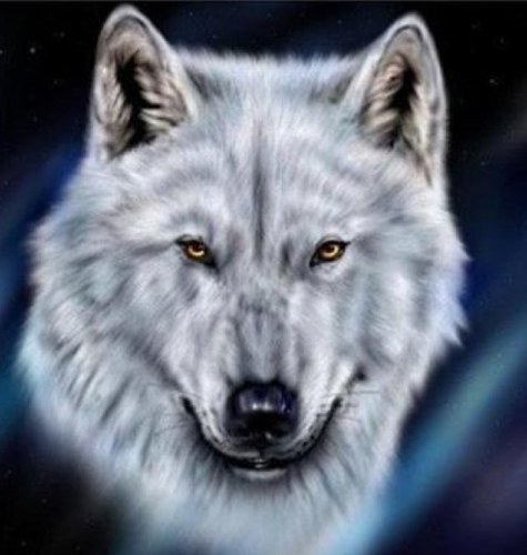 WolfWalker65 Profile Picture
