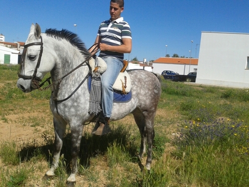 samuel13012012's profile picture. 